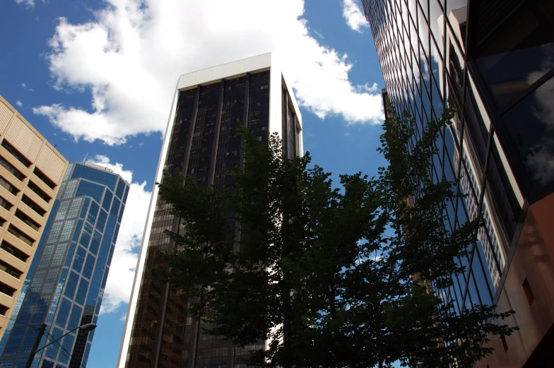 a group of tall buildings with trees next to them