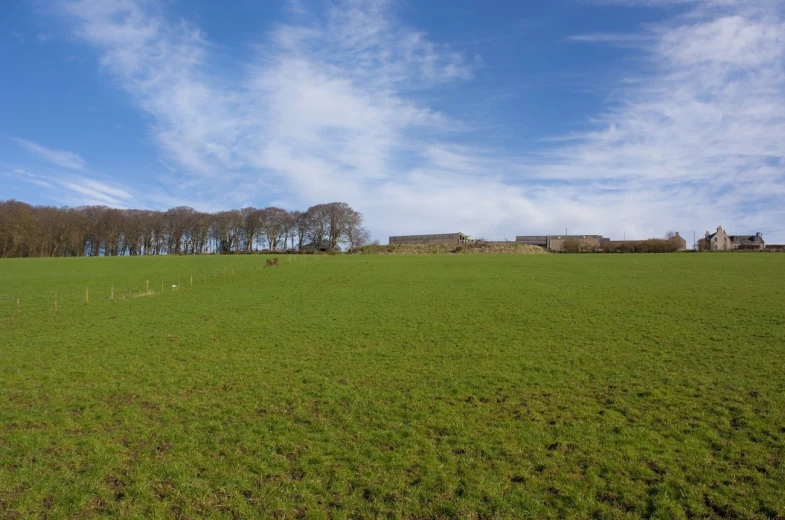 two large houses sit on a lush green field