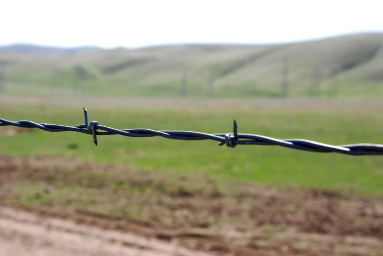 a field of grass next to a fence