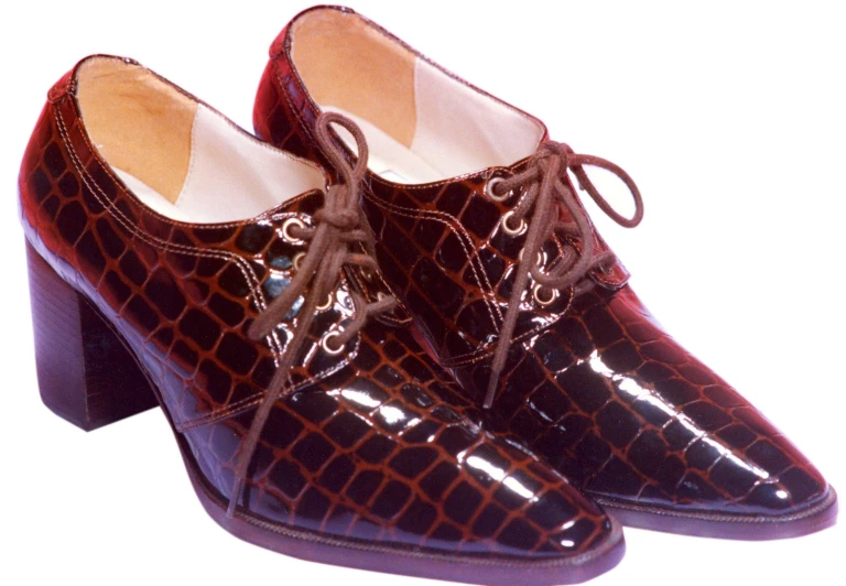 an image of a pair of ladiess shoes with alligator skin