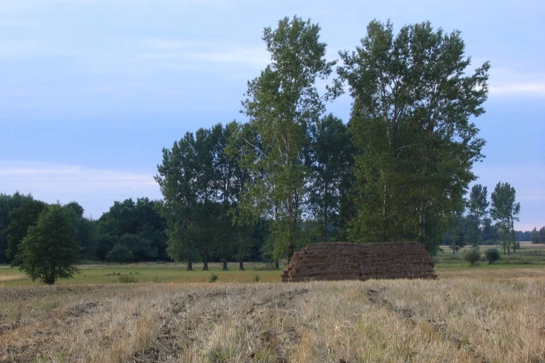 there is an old brick house in the middle of a field