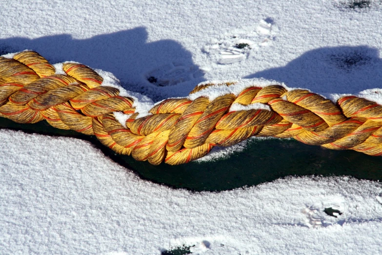 a closeup of a knot on a rope in snow