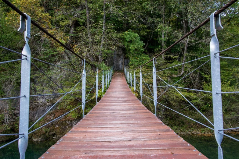 a wooden bridge in the woods, crossing the river