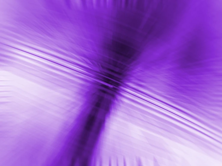 an abstract design in purple with smooth lines