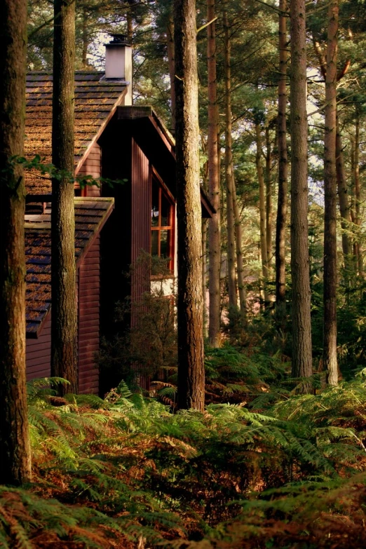 a building sitting in the middle of some trees