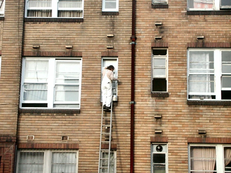a woman is standing on a ladder looking out of a window