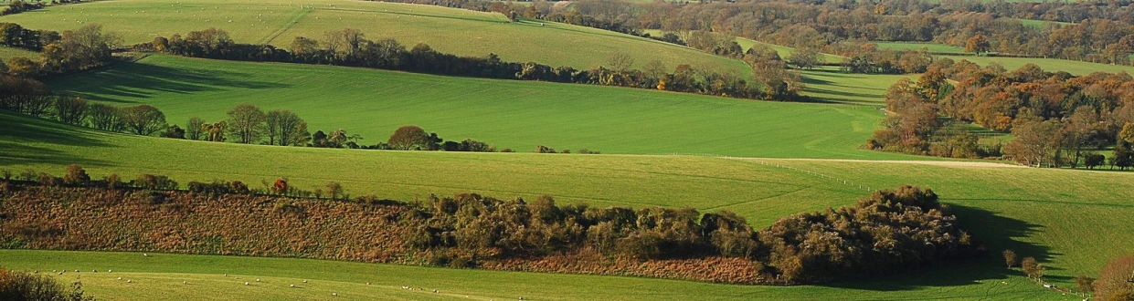 an aerial view of green hills and fields