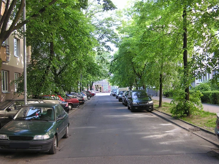 cars parked in the road outside a row of buildings