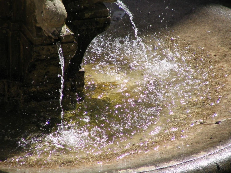 a water hose running over a small dle