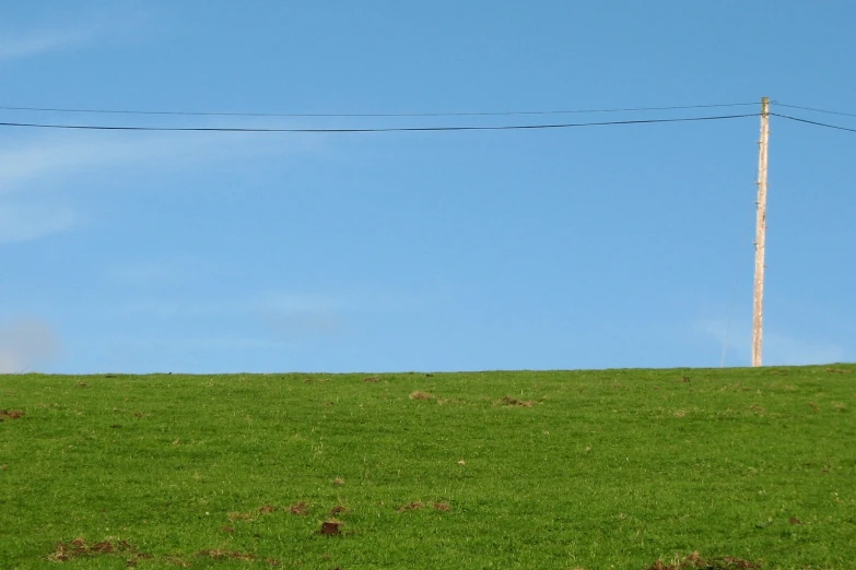 two birds on a wire at the top of a hill