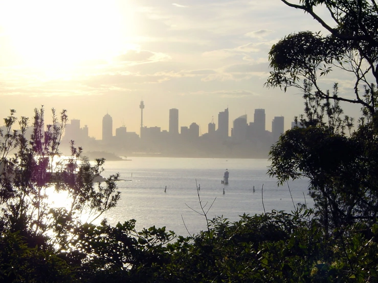 a city and water with many buildings in the distance