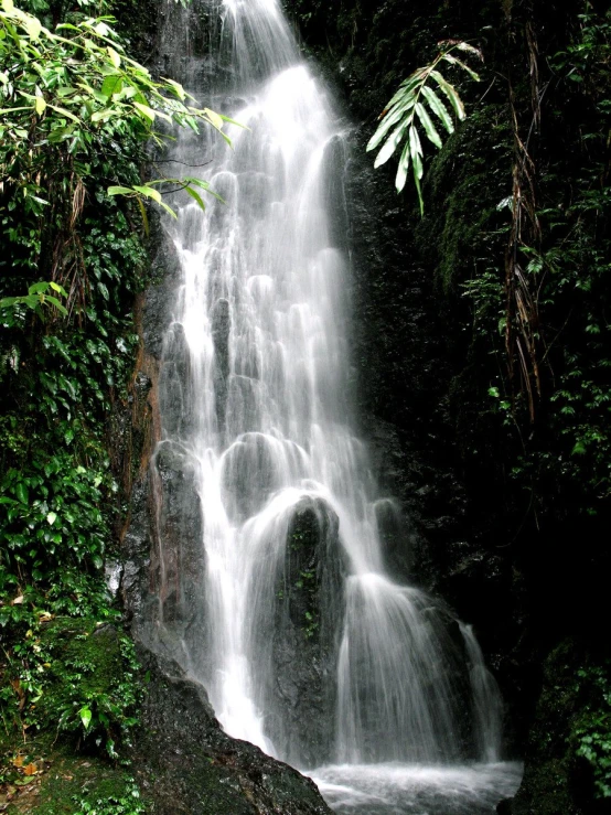 a small waterfall in the jungle with green leaves