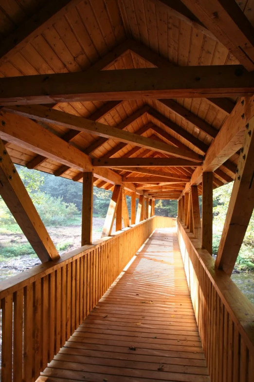 an empty wooden walkway in the woods