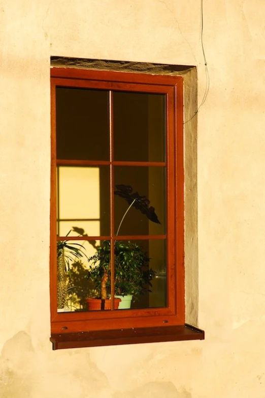a red window frame with some plants in it