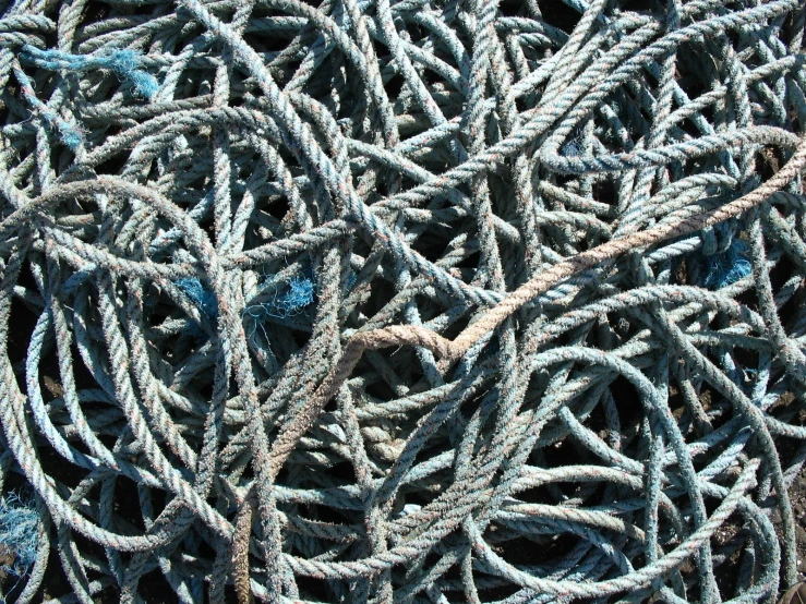an abstract image of multiple rope knots on the ground