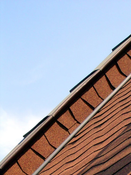 two cats sitting on the top of a building roof