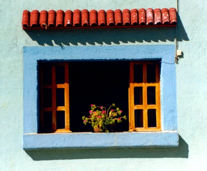 a potted plant sitting on the window ledge