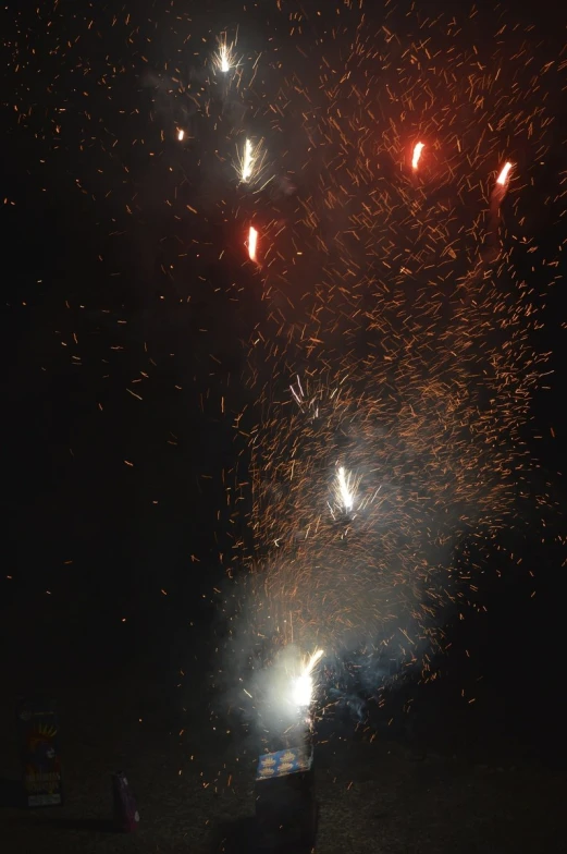 fireworks light up the sky above a city park