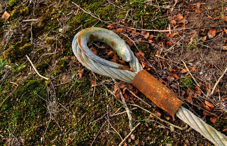 an old rope laying on a ground with green grass