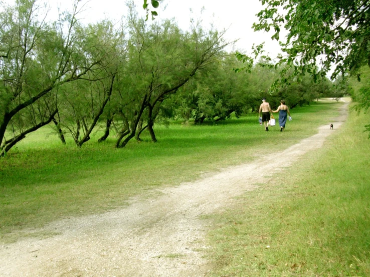 three people walking down a dirt path under trees