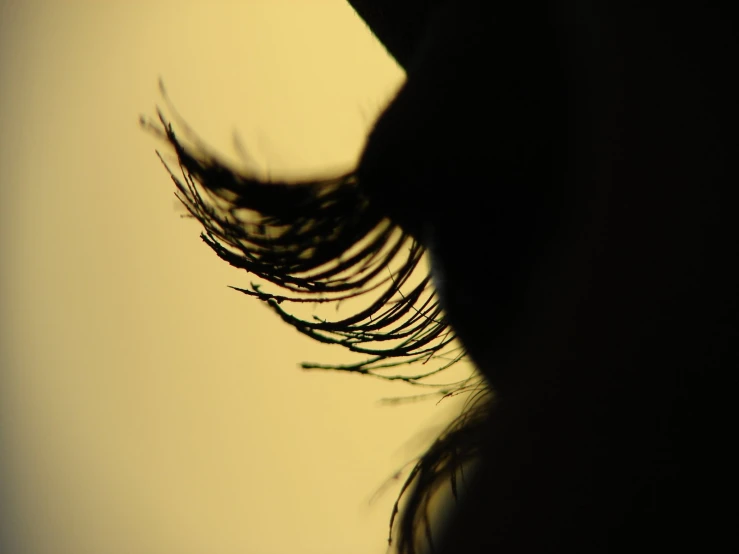 an up close po of a lashes and hair