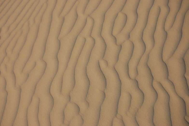 a wave pattern in the sand in the desert