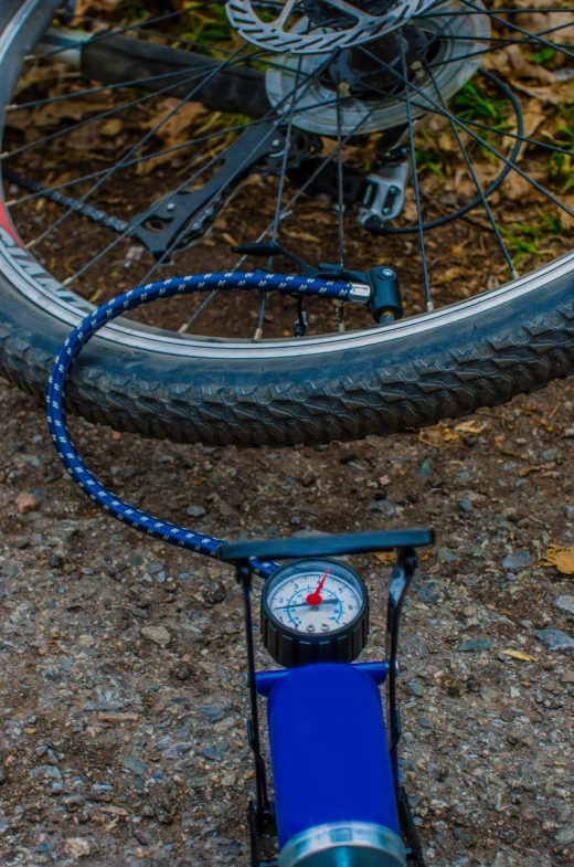 a blue bike tire sits on the ground