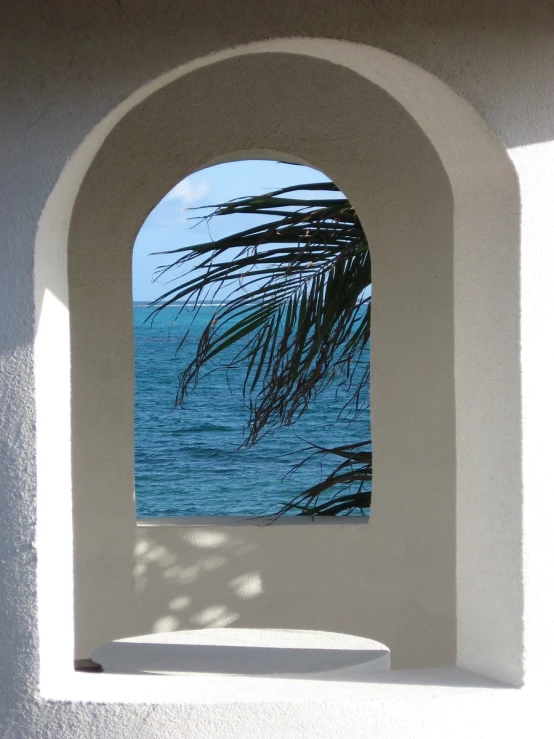 a palm tree hanging over the ocean through an arched window