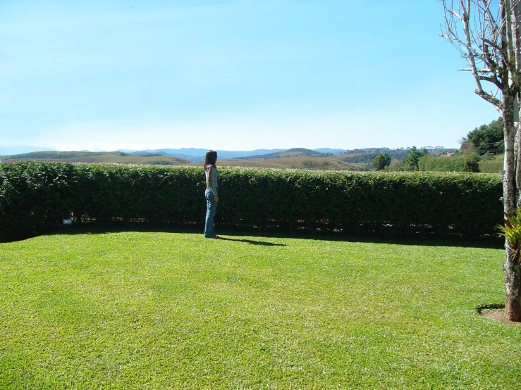 a woman stands in a lawn with two bushes in front of her