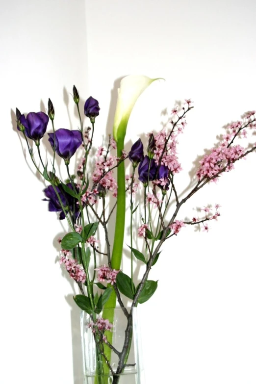 the purple flowers are arranged in the vase