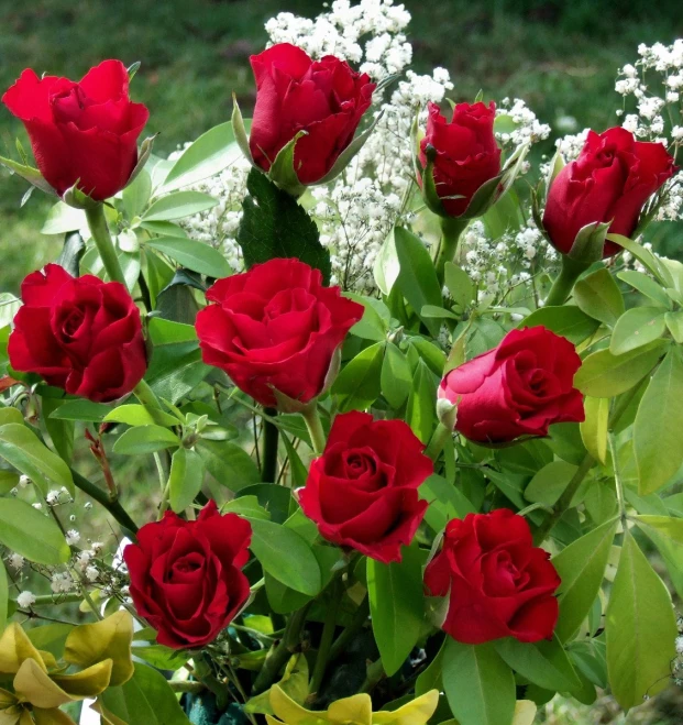 a vase filled with red roses and greenery