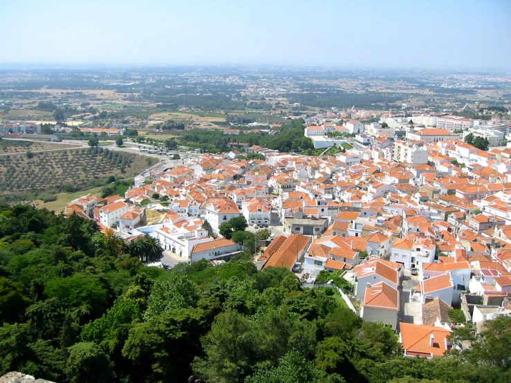 a lot of small white houses surrounded by a forest