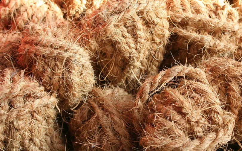 bunches of dried straws on display in a market