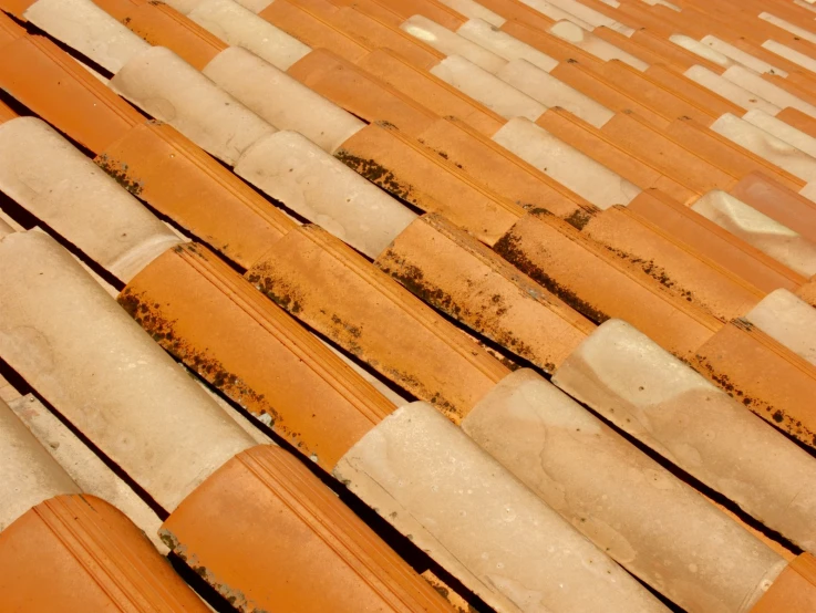 a collection of roof tiles is laid out