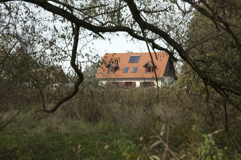 a house with a red tiled roof sits in the woods