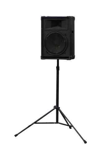 a speaker on top of a stand with one leg up