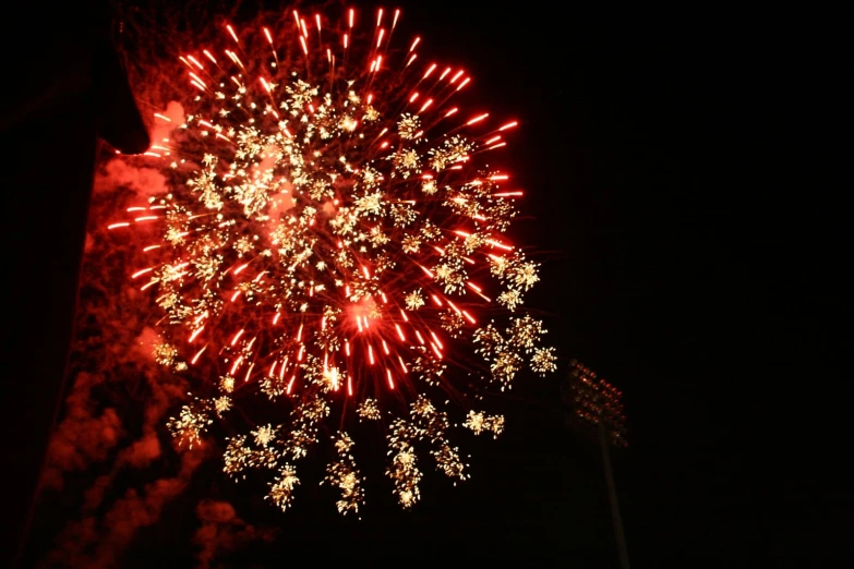 a fireworks is being display in the night sky