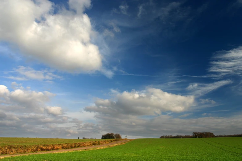 the view from a distance of green fields and some trees