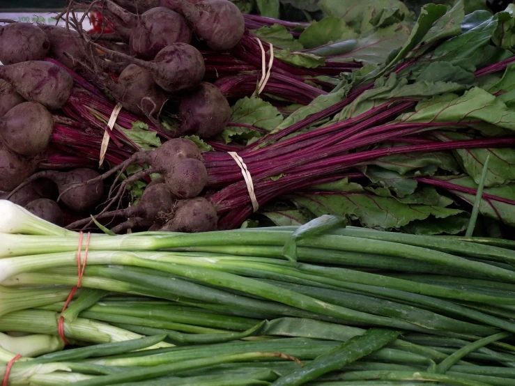 purple onions and green onions sitting on a pile of veggies