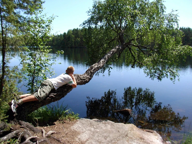 a man in an old tree leans over the edge of a tree to take a breath