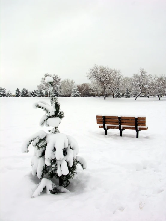 a snowy park bench sitting next to a wooden tree