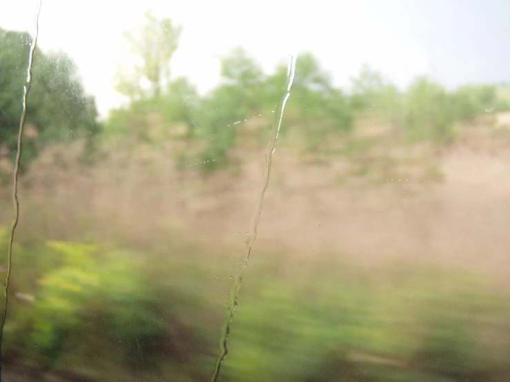 blurry picture of trees and a hillside on a train