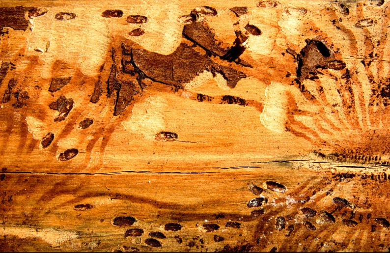 a brown piece of wood with many patterns on it