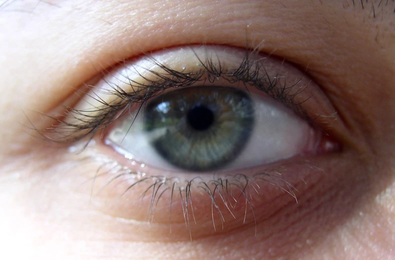 a young person with very long eyelashes looking into the distance