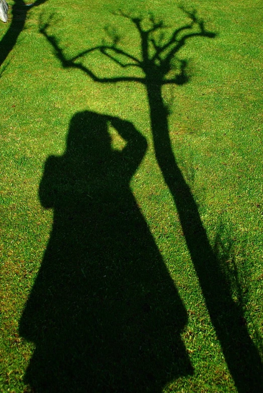 a person standing with his shadow on a green field