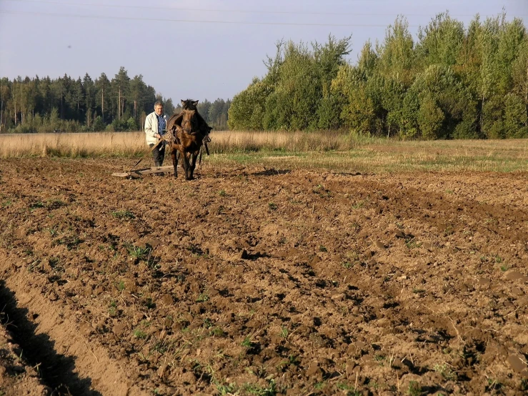 two people on horses and plow on the side of the road