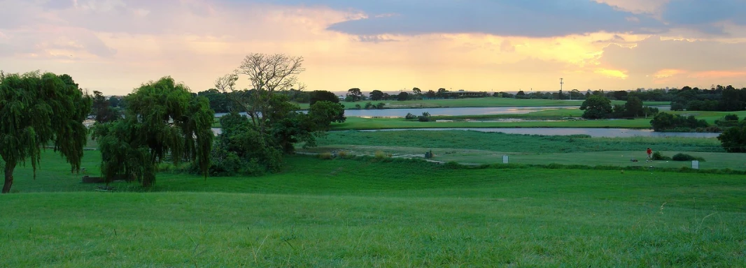 a park with water in the distance and lots of trees