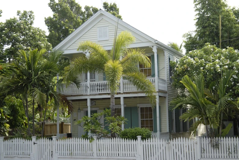 a white house with tall palm trees and gate in front