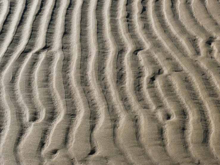 there are lines created in the sand as if they were waves