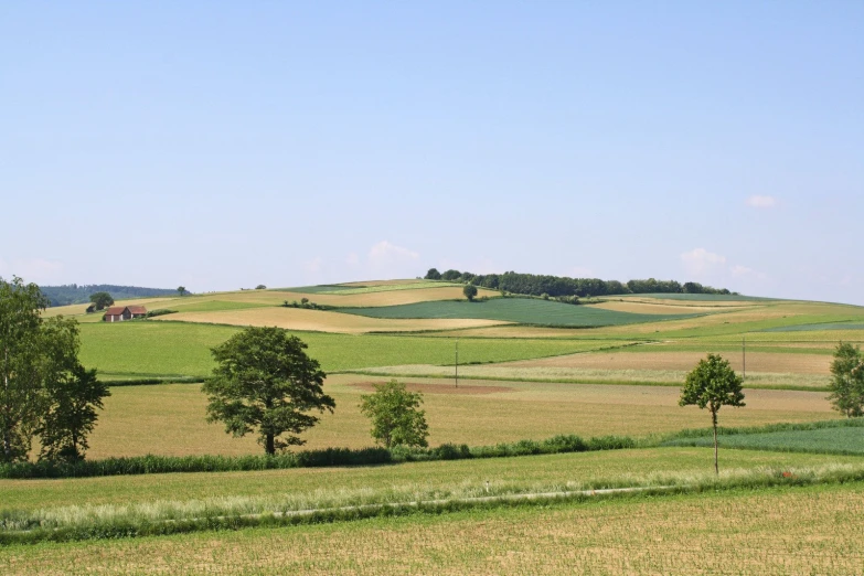 an open field with trees in the distance